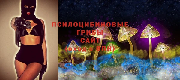 дурь Кулебаки