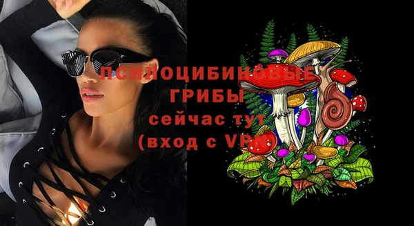 дурь Кулебаки